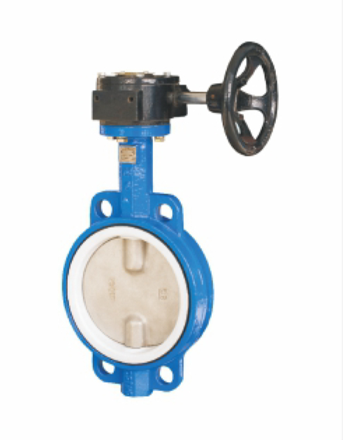 蜗轮对夹四氟蝶阀