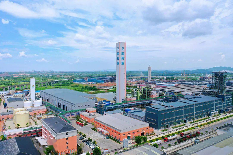 广东飞南资源利用股份有限公司