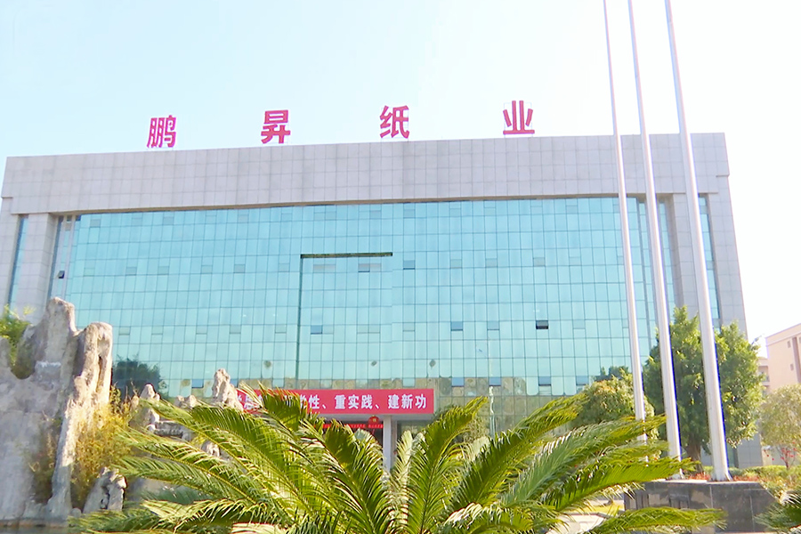 贵州鹏昇（集团）纸业有限责任公司